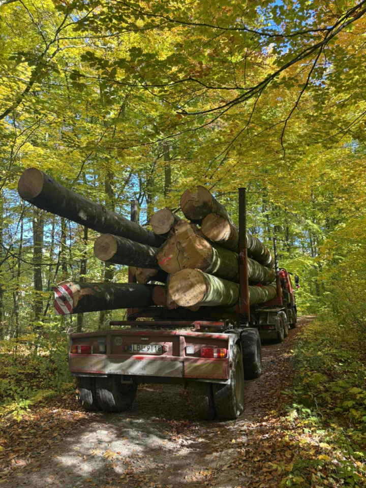 DAF CF510 - Xe chở gỗ, Xe cẩu tự hành: hình 3 DAF CF510 - Xe chở gỗ, Xe cẩu tự hành: hình 3