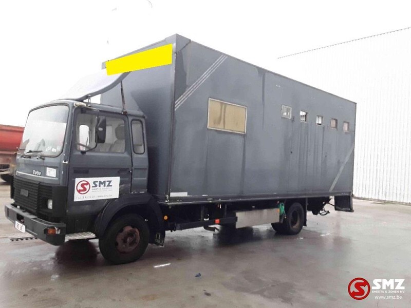 Iveco Magirus 80 16 horse truck - Xe tải chở gia súc: hình 5 Iveco Magirus 80 16 horse truck - Xe tải chở gia súc: hình 5