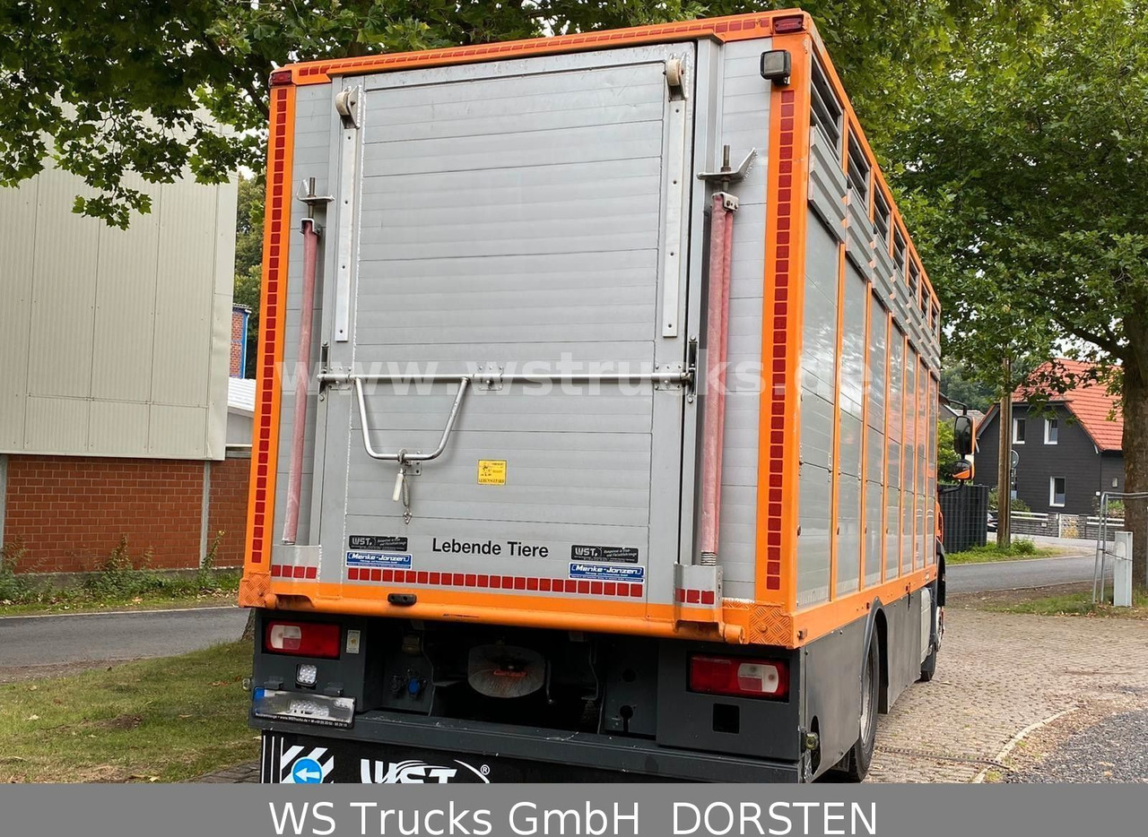 DAF CF 400 Menke Einstock - Xe tải chở ngựa: hình 3 DAF CF 400 Menke Einstock - Xe tải chở ngựa: hình 3