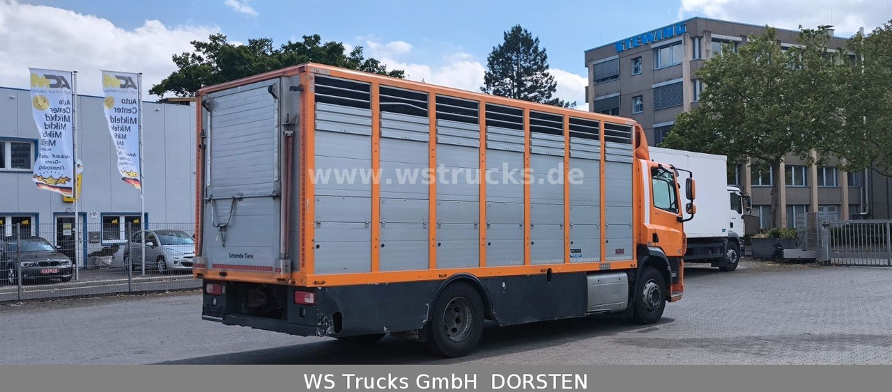 DAF CF 400 Menke Einstock - Xe tải chở ngựa: hình 5 DAF CF 400 Menke Einstock - Xe tải chở ngựa: hình 5