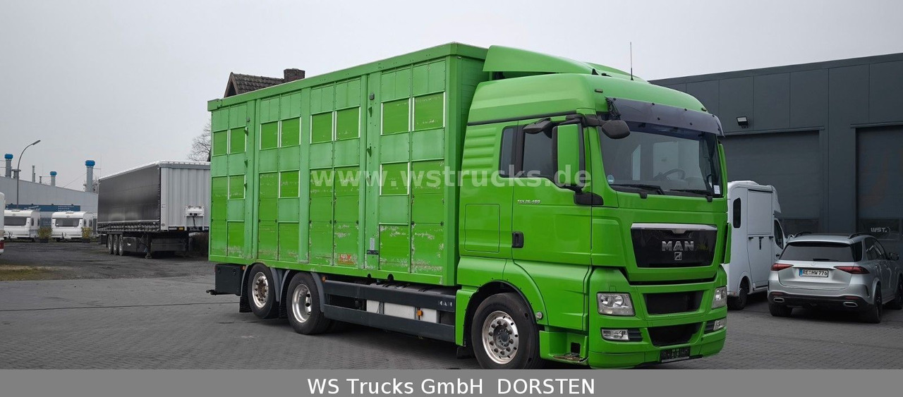 MAN TGX 26.480 XL KABA 3 Stock Viehtransporter - Xe tải chở ngựa: hình 3 MAN TGX 26.480 XL KABA 3 Stock Viehtransporter - Xe tải chở ngựa: hình 3