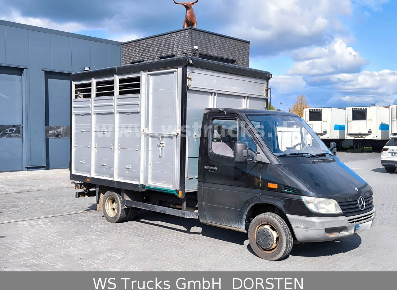 Mercedes-Benz Sprinter 411 CDI Viehtransporter - Xe tải chở gia súc: hình 2 Mercedes-Benz Sprinter 411 CDI Viehtransporter - Xe tải chở gia súc: hình 2