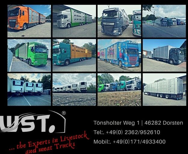 Sơ mi rơ moóc đông lạnh Schmitz Cargobull SKO 24 Kühlauflieger Vector 1550 Strom/Diesel: hình 23