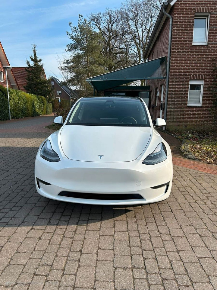 Tesla Model Y Long Range Dual AWD - Sedan: hình 2 Tesla Model Y Long Range Dual AWD - Sedan: hình 2