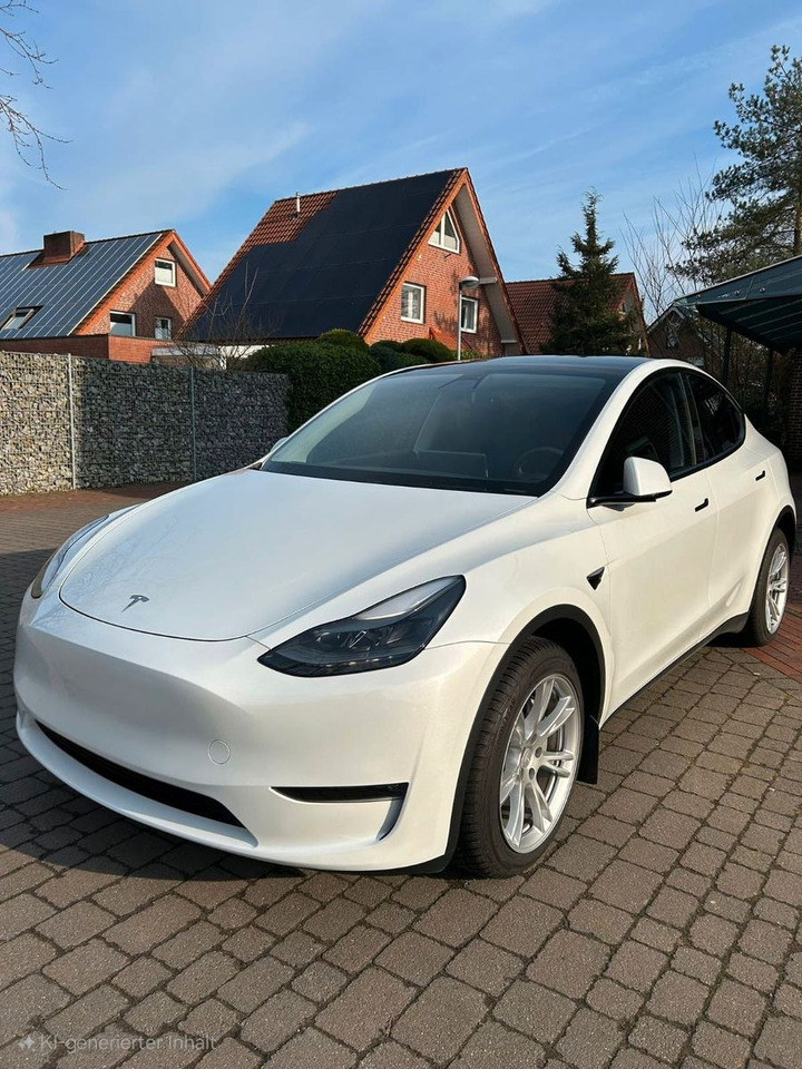 Tesla Model Y Long Range Dual AWD - Sedan: hình 1 Tesla Model Y Long Range Dual AWD - Sedan: hình 1