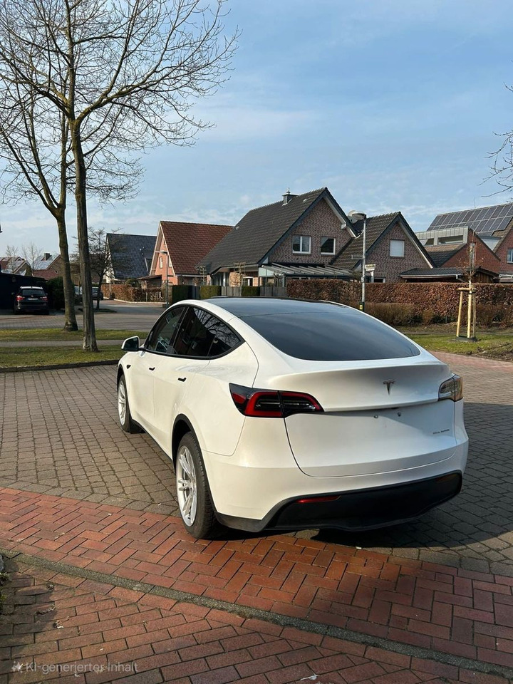 Tesla Model Y Long Range Dual AWD - Sedan: hình 3 Tesla Model Y Long Range Dual AWD - Sedan: hình 3