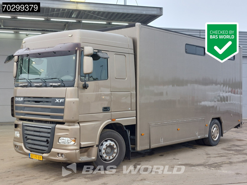 DAF XF105.410 XF 4X2 NL-Truck JK Horsetruck 6 Horses Pferdentransport Manual Euro 5 - Xe tải chở ngựa: hình 1 DAF XF105.410 XF 4X2 NL-Truck JK Horsetruck 6 Horses Pferdentransport Manual Euro 5 - Xe tải chở ngựa: hình 1