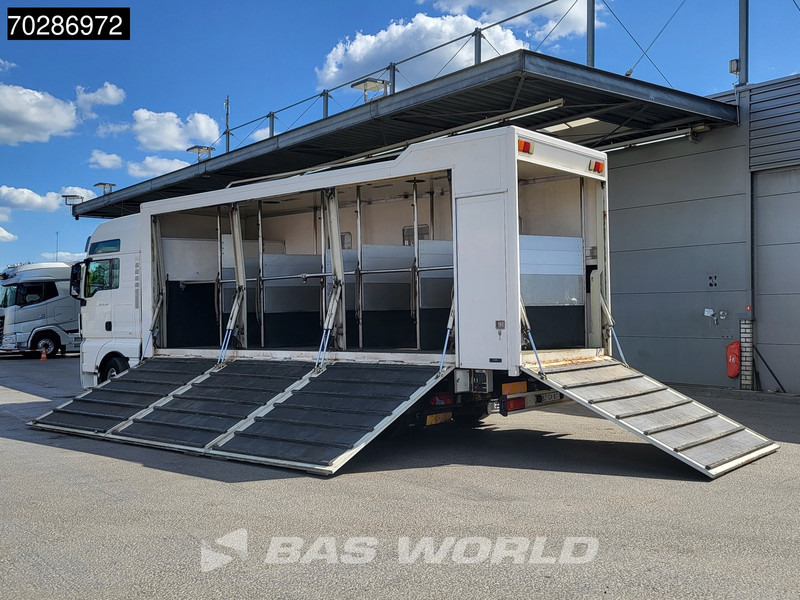 MAN TGX 26.480 TGX 6X2 NL-Truck BDF HorseTransport Lift+steering axle Standklima Automatic Xenon Alcoa´s Euro 5 - Xe chở container/ Xe tải hoán đổi thân: hình 2 MAN TGX 26.480 TGX 6X2 NL-Truck BDF HorseTransport Lift+steering axle Standklima Automatic Xenon Alcoa´s Euro 5 - Xe chở container/ Xe tải hoán đổi thân: hình 2