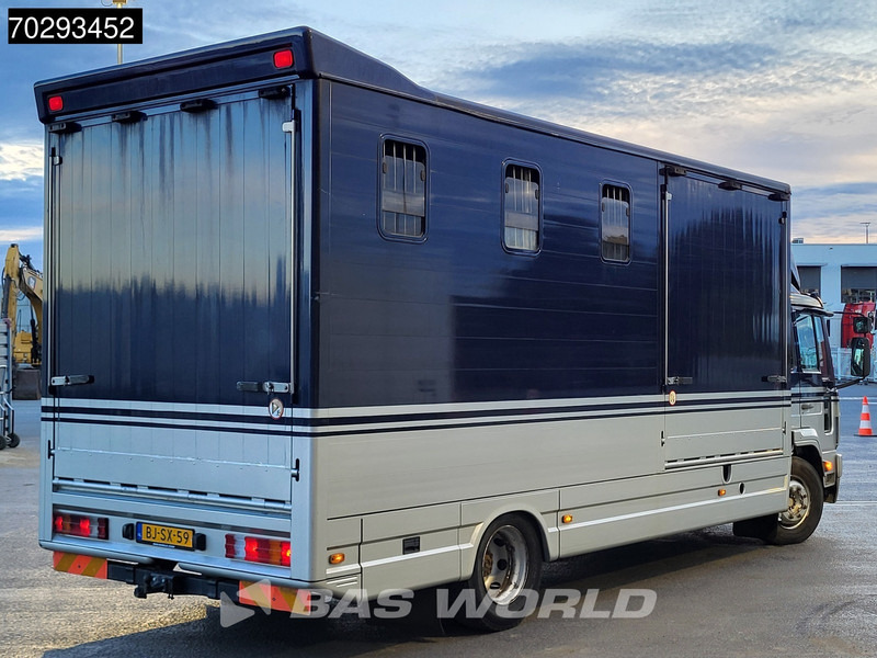 Volvo FL6 180 FL 4X2 NL-Horsetruck 4 Horses Pferdentransport Manual Euro 2 - Xe tải chở gia súc: hình 5 Volvo FL6 180 FL 4X2 NL-Horsetruck 4 Horses Pferdentransport Manual Euro 2 - Xe tải chở gia súc: hình 5