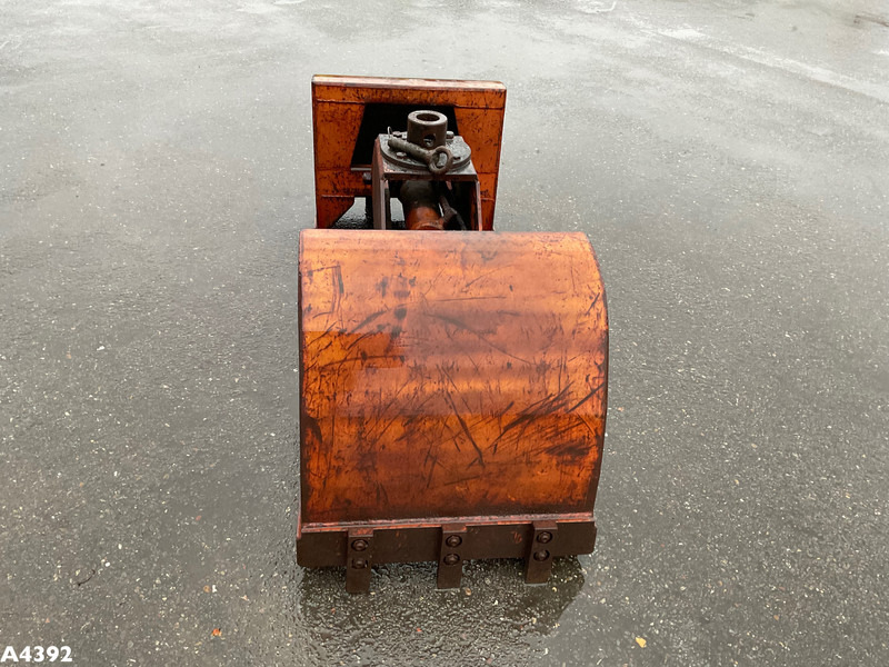 Schalenknijper - Nho táo: hình 5 Schalenknijper - Nho táo: hình 5