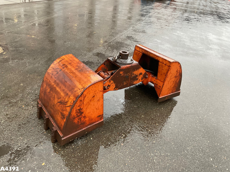 Schalenknijper - Nho táo: hình 4 Schalenknijper - Nho táo: hình 4