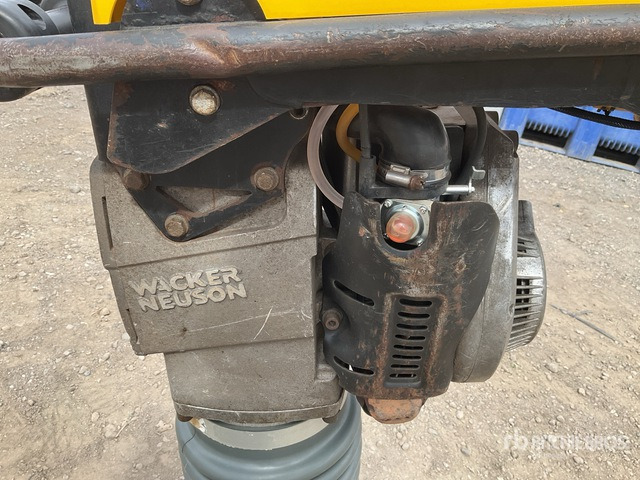 2019 Wacker Neuson BS60-2 Jumping Jack Tamper - Máy đầm cóc: hình 5 2019 Wacker Neuson BS60-2 Jumping Jack Tamper - Máy đầm cóc: hình 5