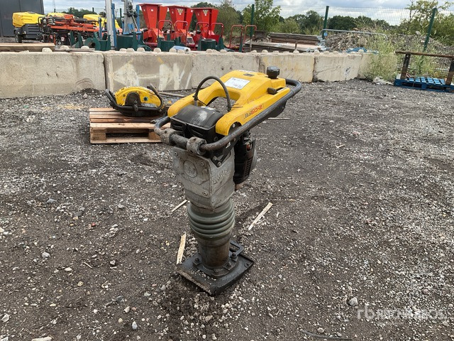 2021 Wacker Neuson BS60-2I Jumping Jack Tamper - Máy đầm cóc: hình 1 2021 Wacker Neuson BS60-2I Jumping Jack Tamper - Máy đầm cóc: hình 1