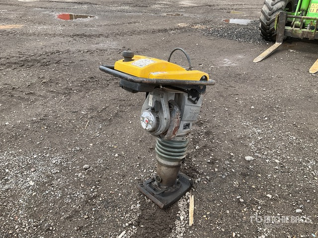 2021 Wacker Neuson BS60-2I Jumping Jack Tamper - Máy đầm cóc: hình 4 2021 Wacker Neuson BS60-2I Jumping Jack Tamper - Máy đầm cóc: hình 4