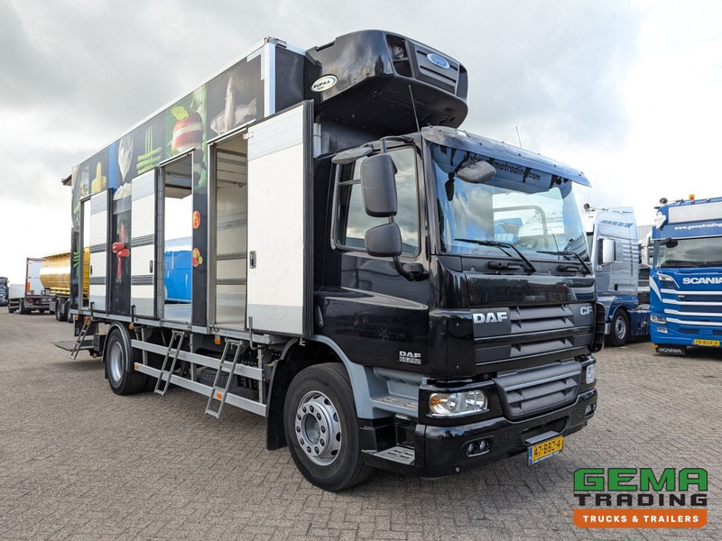 DAF FA CF65.250 4x2 Daycab Euro5 KoelVriesBak 6.7M + Carrier Supra750Mt + Laadklep2000kg - Xe tải đông lạnh: hình 3 DAF FA CF65.250 4x2 Daycab Euro5 KoelVriesBak 6.7M + Carrier Supra750Mt + Laadklep2000kg - Xe tải đông lạnh: hình 3