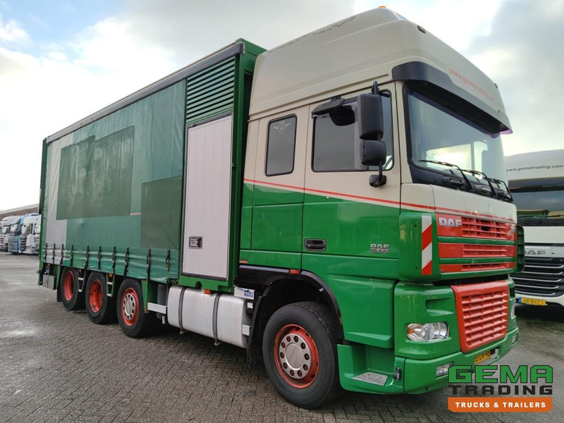 DAF FAK XF95.430 8x2 SuperSpaceCab Euro3 - CurtainSider 7.31m + Ramp 16T - MachineTransporter - 6 Persons (V558) - Xe tải chuyên chở tự động: hình 3 DAF FAK XF95.430 8x2 SuperSpaceCab Euro3 - CurtainSider 7.31m + Ramp 16T - MachineTransporter - 6 Persons (V558) - Xe tải chuyên chở tự động: hình 3