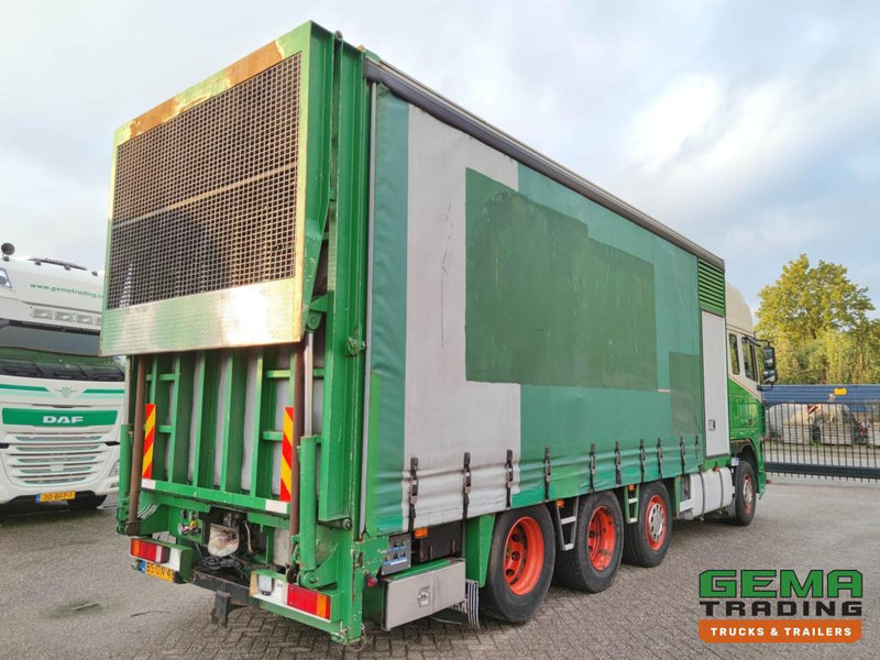 DAF FAK XF95.430 8x2 SuperSpaceCab Euro3 - CurtainSider 7.31m + Ramp 16T - MachineTransporter - 6 Persons (V558) - Xe tải chuyên chở tự động: hình 4 DAF FAK XF95.430 8x2 SuperSpaceCab Euro3 - CurtainSider 7.31m + Ramp 16T - MachineTransporter - 6 Persons (V558) - Xe tải chuyên chở tự động: hình 4