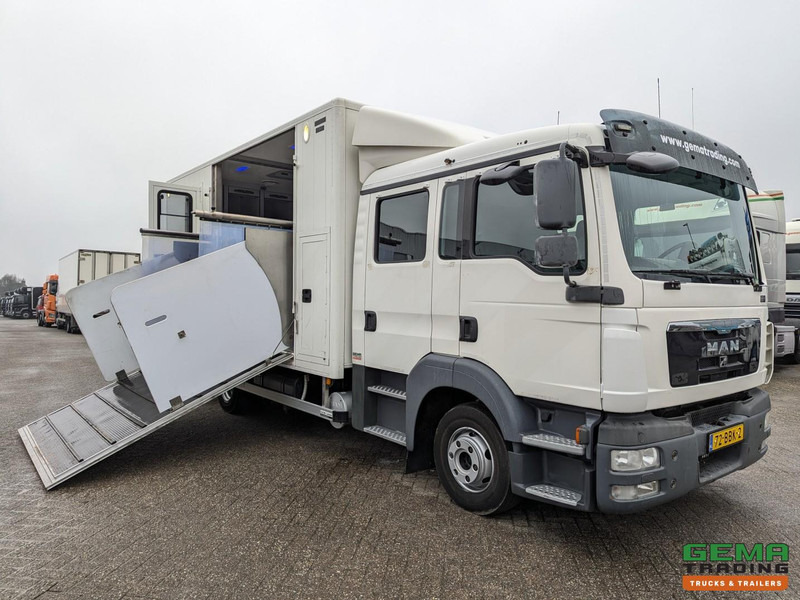 MAN TGL 12.180 4x2 DoKa 7 pers. Euro5 EEV - Paardenwagen 2-Paards - 147.000km! - MARGE - Xe tải chở ngựa: hình 1 MAN TGL 12.180 4x2 DoKa 7 pers. Euro5 EEV - Paardenwagen 2-Paards - 147.000km! - MARGE - Xe tải chở ngựa: hình 1