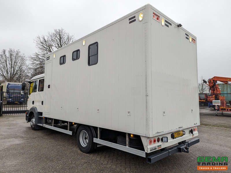 MAN TGL 12.180 4x2 DoKa 7 pers. Euro5 EEV - Paardenwagen 2-Paards - 147.000km! - MARGE - Xe tải chở ngựa: hình 4 MAN TGL 12.180 4x2 DoKa 7 pers. Euro5 EEV - Paardenwagen 2-Paards - 147.000km! - MARGE - Xe tải chở ngựa: hình 4