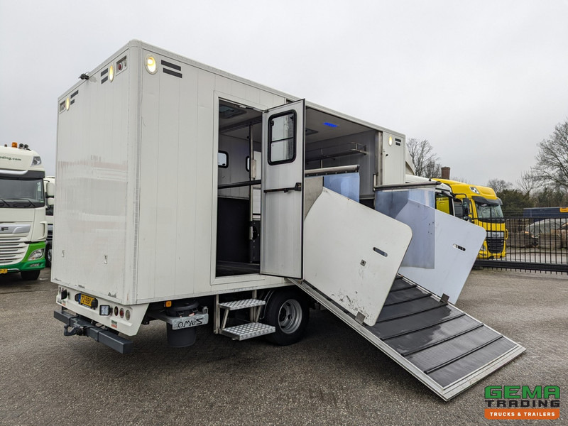 MAN TGL 12.180 4x2 DoKa 7 pers. Euro5 EEV - Paardenwagen 2-Paards - 147.000km! - MARGE - Xe tải chở ngựa: hình 2 MAN TGL 12.180 4x2 DoKa 7 pers. Euro5 EEV - Paardenwagen 2-Paards - 147.000km! - MARGE - Xe tải chở ngựa: hình 2