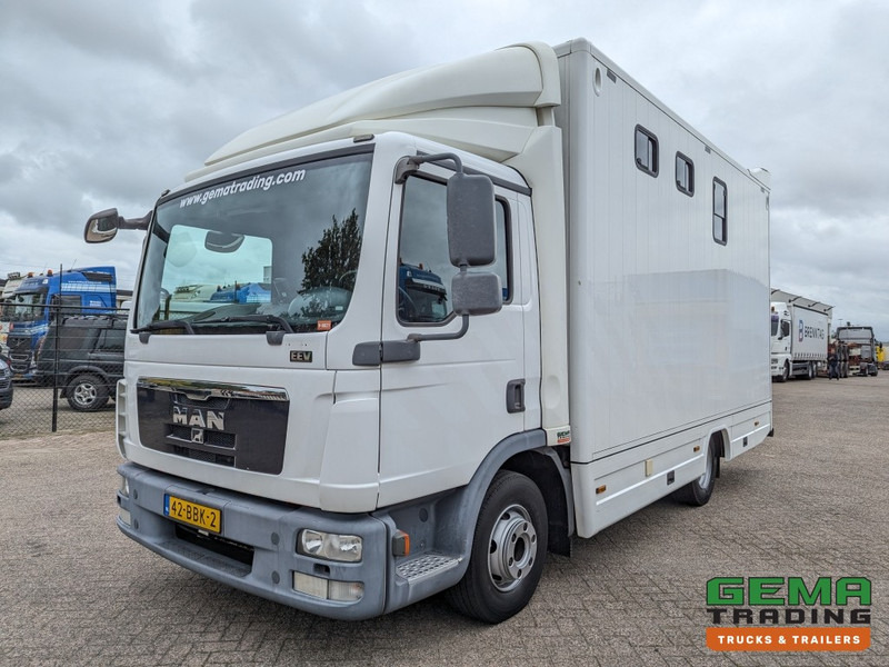 MAN TGL 12.250 4x2 Euro5 EEV RC HorseTruck - 2a3 Paards - 135.000km - MARGE (V821) - Xe tải chở ngựa: hình 2 MAN TGL 12.250 4x2 Euro5 EEV RC HorseTruck - 2a3 Paards - 135.000km - MARGE (V821) - Xe tải chở ngựa: hình 2
