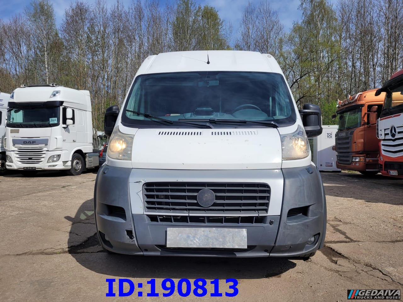 FIAT Ducato - VIP - 17 Seater - Xe đò: hình 2 FIAT Ducato - VIP - 17 Seater - Xe đò: hình 2