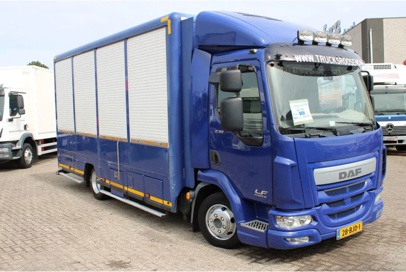 DAF LF 230 + EURO 6 - Xe tải chở gia súc: hình 3 DAF LF 230 + EURO 6 - Xe tải chở gia súc: hình 3