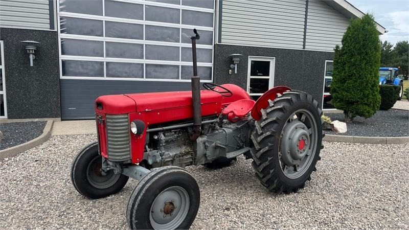 Massey Ferguson 65 Med nye dæk - Máy cày: hình 2 Massey Ferguson 65 Med nye dæk - Máy cày: hình 2