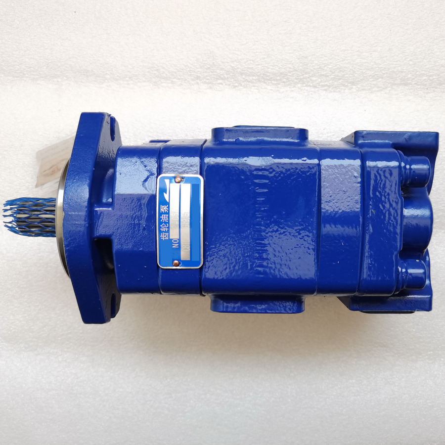 Máy xúc lật bánh lốp mới QINGDAO PROMISING Hydraulic Pump CBTLZTX-G10/G10-AF1Φ for China Wheel Loader Spare Parts: hình 6