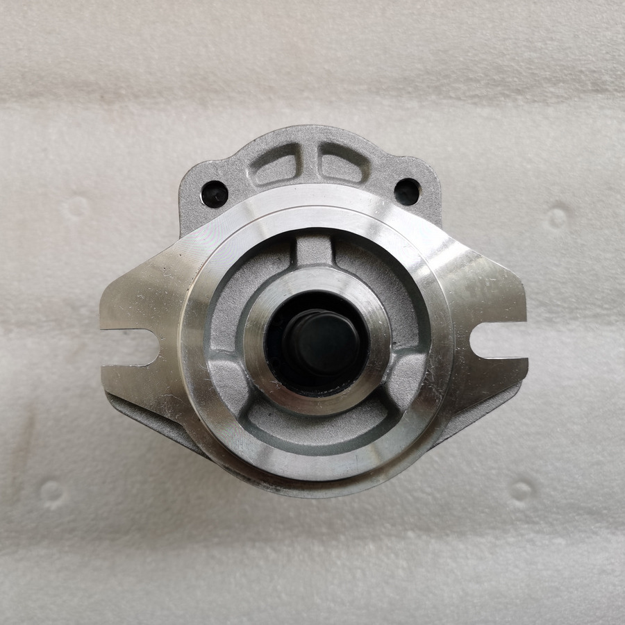 QINGDAO PROMISING Hydraulic Pump CBWA-F318-AT4Φ9 - Bơm thủy lực cho Máy xúc lật bánh lốp: hình 3 QINGDAO PROMISING Hydraulic Pump CBWA-F318-AT4Φ9 - Bơm thủy lực cho Máy xúc lật bánh lốp: hình 3