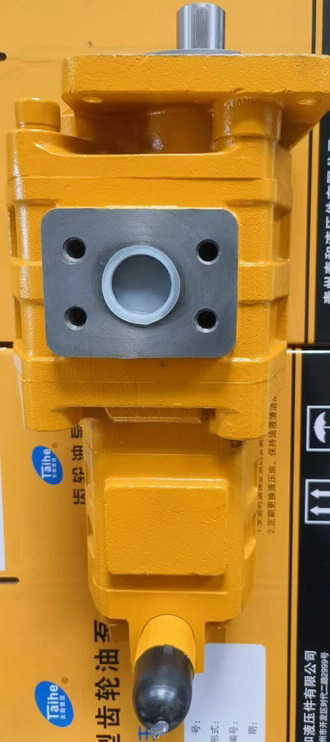 Qingdao Promising Hydraulic Double Gear Pumps Fit China Loader - Bơm thủy lực cho Máy xúc lật bánh lốp: hình 5 Qingdao Promising Hydraulic Double Gear Pumps Fit China Loader - Bơm thủy lực cho Máy xúc lật bánh lốp: hình 5