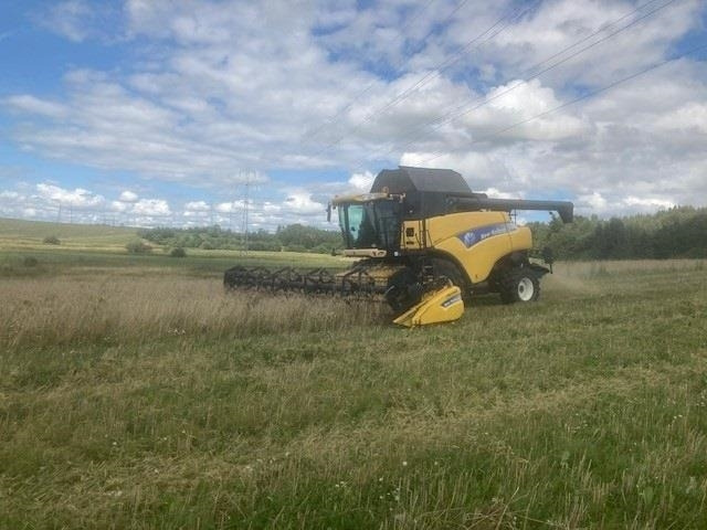 New Holland CR 980 1050er hjul og 30Fod 4 hjulstræk - Máy gặt đập: hình 1 New Holland CR 980 1050er hjul og 30Fod 4 hjulstræk - Máy gặt đập: hình 1