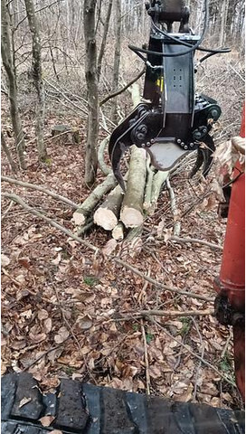 Jak 250 Fällgreifer - Nho táo: hình 2 Jak 250 Fällgreifer - Nho táo: hình 2