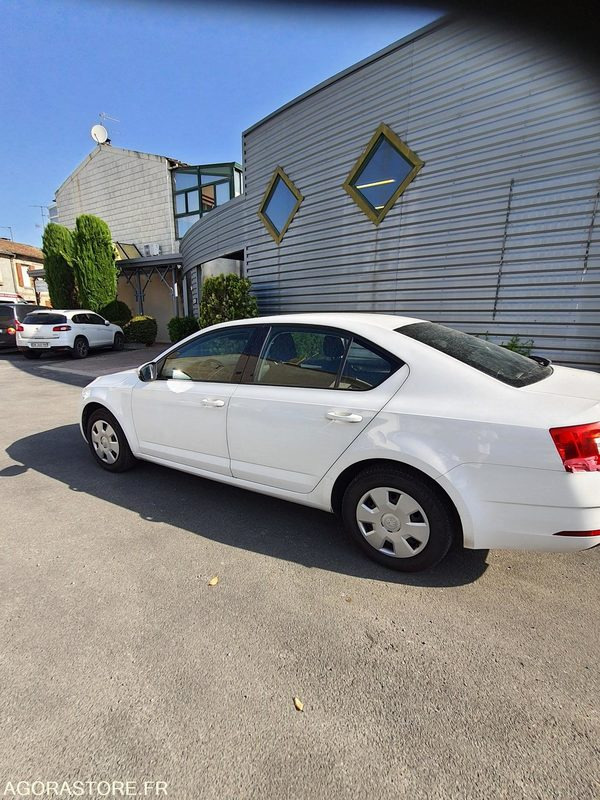 FG-550-ED - Roulant - SKODA OCTAVIA - VP - 322 235 Kms - Xe hơi: hình 1 FG-550-ED - Roulant - SKODA OCTAVIA - VP - 322 235 Kms - Xe hơi: hình 1