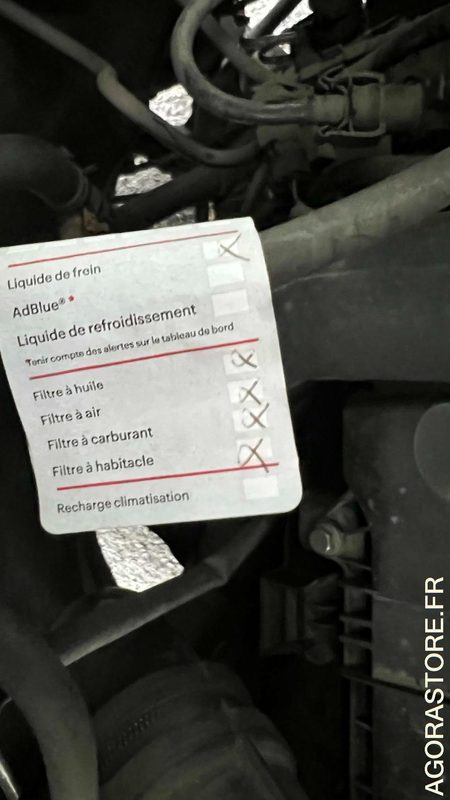 Xe bus mini, Xe van chở khách MINICAR - RENAULT TRUCKS - MASTER TPMR - 2012 - 179 100 KM (CB-868-FW): hình 15