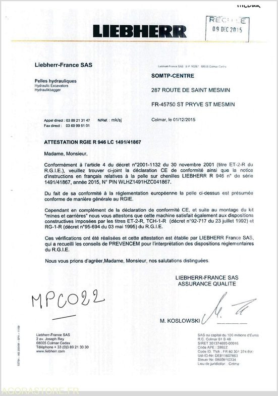 Máy xúc PELLE A CHENILLE LIEBHERR R946 - 2015 / 10235H (MPC022): hình 14