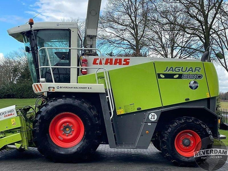 Claas Jaguar 830 492 - Máy gặt đập thức ăn gia súc: hình 5 Claas Jaguar 830 492 - Máy gặt đập thức ăn gia súc: hình 5