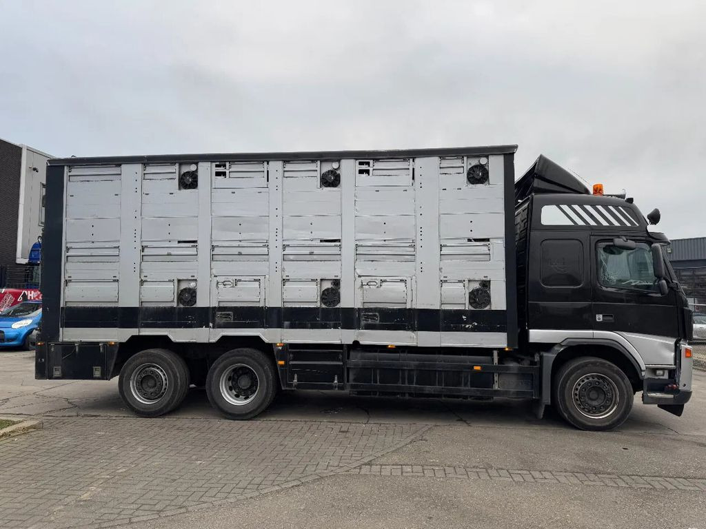 Volvo FM 400 6X2 - EURO 3 + 2 LAYERS + LIFT/STEERING A - Xe tải chở ngựa: hình 4 Volvo FM 400 6X2 - EURO 3 + 2 LAYERS + LIFT/STEERING A - Xe tải chở ngựa: hình 4