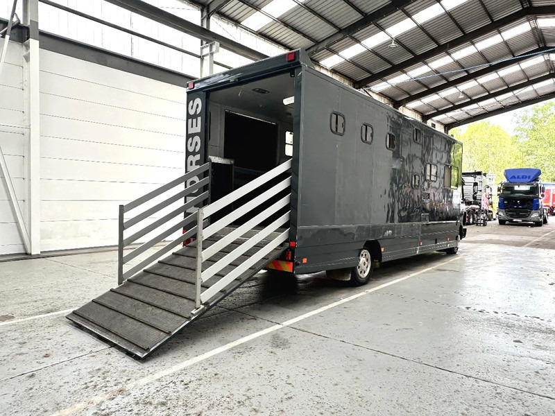 Mercedes-Benz 1117 MOBILE HOME / TRANSPORT DE CHEVAUX /HORSE TRUCK - Xe tải chở gia súc: hình 5 Mercedes-Benz 1117 MOBILE HOME / TRANSPORT DE CHEVAUX /HORSE TRUCK - Xe tải chở gia súc: hình 5
