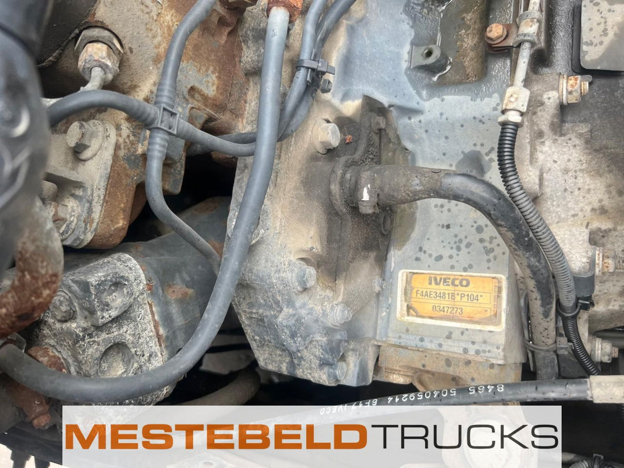 Iveco Motor F4AE3481 euro 4 - Động cơ cho Xe tải: hình 1 Iveco Motor F4AE3481 euro 4 - Động cơ cho Xe tải: hình 1