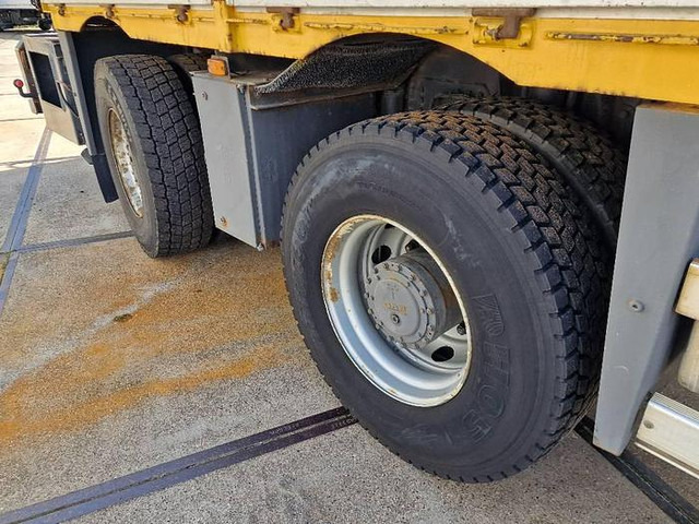 Cẩu bánh lốp DAF X 4241 S: hình 10