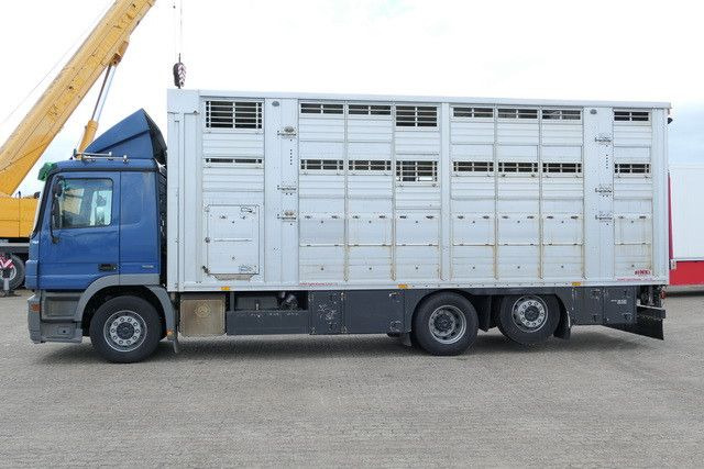 Mercedes-Benz 2541 L Actros 6x2, Finkl, 3 Stock,Kombi Liner XL - Xe tải chở ngựa: hình 2 Mercedes-Benz 2541 L Actros 6x2, Finkl, 3 Stock,Kombi Liner XL - Xe tải chở ngựa: hình 2