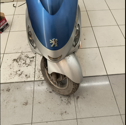 Scooter Peugeot QM50QT-6 - Xe máy: hình 4 Scooter Peugeot QM50QT-6 - Xe máy: hình 4