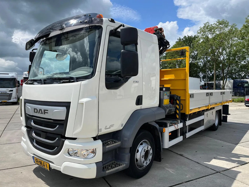 DAF LF 230 FA - Xe cẩu tự hành: hình 1 DAF LF 230 FA - Xe cẩu tự hành: hình 1