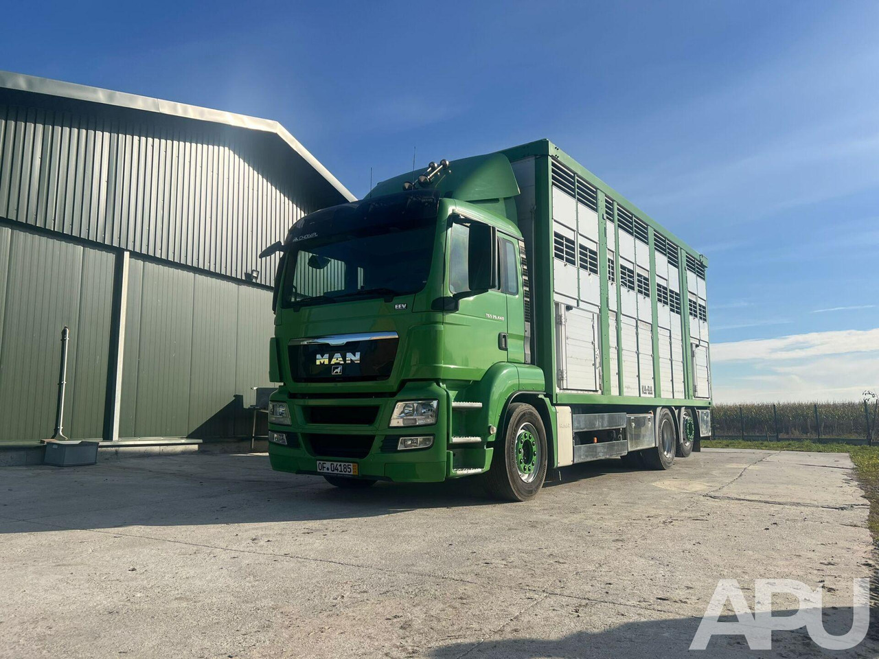 MAN TGS 26.440 DO PRZEWOZU BYDŁA - Xe tải chở gia súc: hình 1 MAN TGS 26.440 DO PRZEWOZU BYDŁA - Xe tải chở gia súc: hình 1