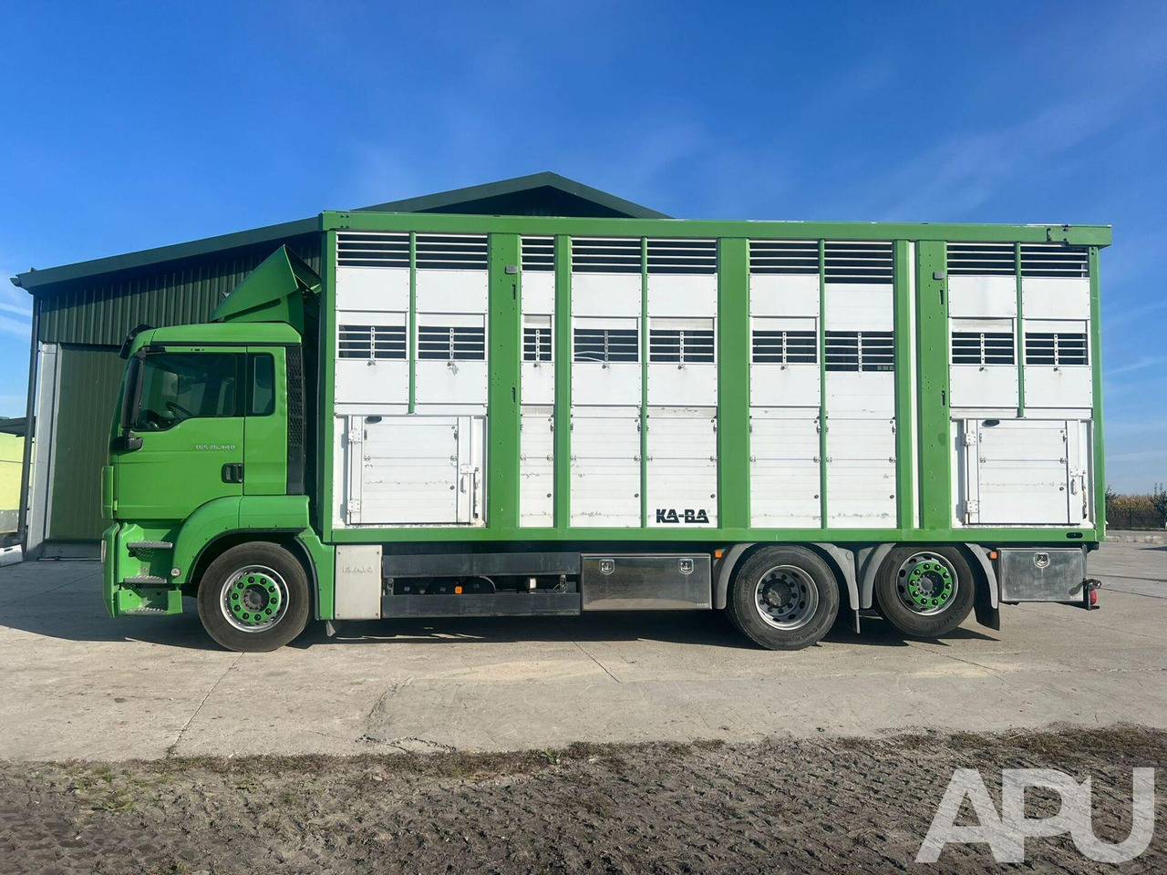 MAN TGS 26.440 DO PRZEWOZU BYDŁA - Xe tải chở gia súc: hình 2 MAN TGS 26.440 DO PRZEWOZU BYDŁA - Xe tải chở gia súc: hình 2