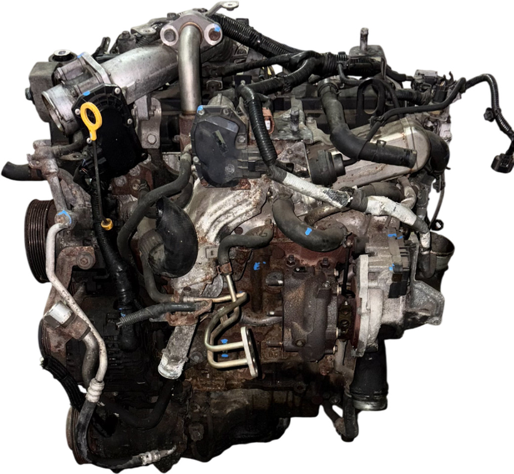 NISSAN MURANO II NAVARA PATHFINDER 2.5 DCI 2012 190PK MOTOR YD25 YD25DDTI - Động cơ và các bộ phận cho Xe tải: hình 5 NISSAN MURANO II NAVARA PATHFINDER 2.5 DCI 2012 190PK MOTOR YD25 YD25DDTI - Động cơ và các bộ phận cho Xe tải: hình 5