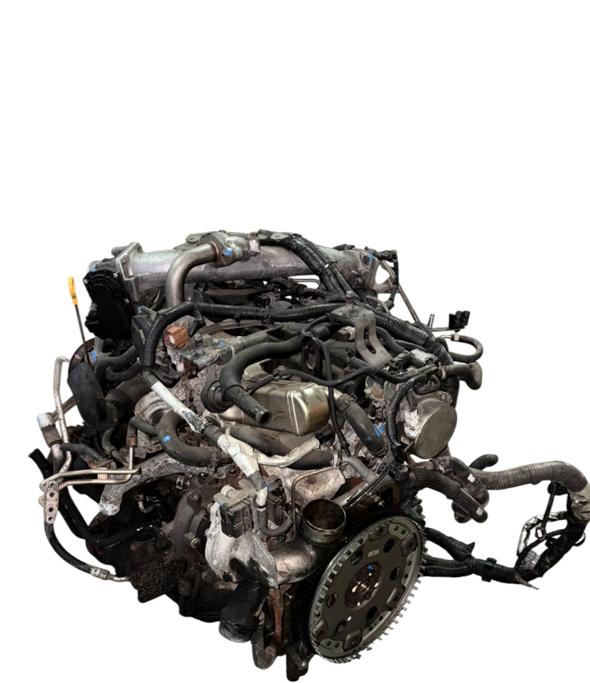 NISSAN MURANO II NAVARA PATHFINDER 2.5 DCI 2012 190PK MOTOR YD25 YD25DDTI - Động cơ và các bộ phận cho Xe tải: hình 2 NISSAN MURANO II NAVARA PATHFINDER 2.5 DCI 2012 190PK MOTOR YD25 YD25DDTI - Động cơ và các bộ phận cho Xe tải: hình 2