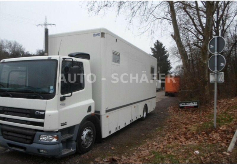 DAF Cf 75-250 - Xe van chở hàng: hình 2 DAF Cf 75-250 - Xe van chở hàng: hình 2