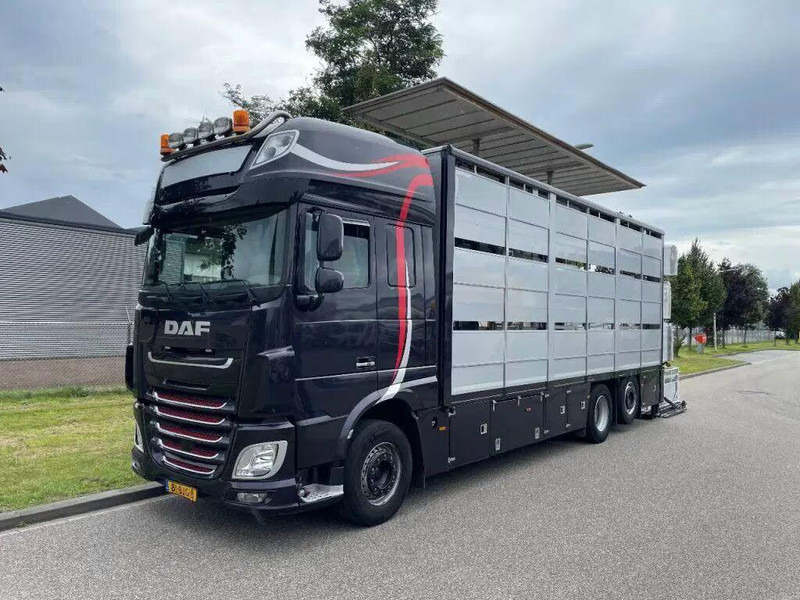 DAF XF 460 - Animal transporter - Xe tải chở gia súc: hình 3 DAF XF 460 - Animal transporter - Xe tải chở gia súc: hình 3